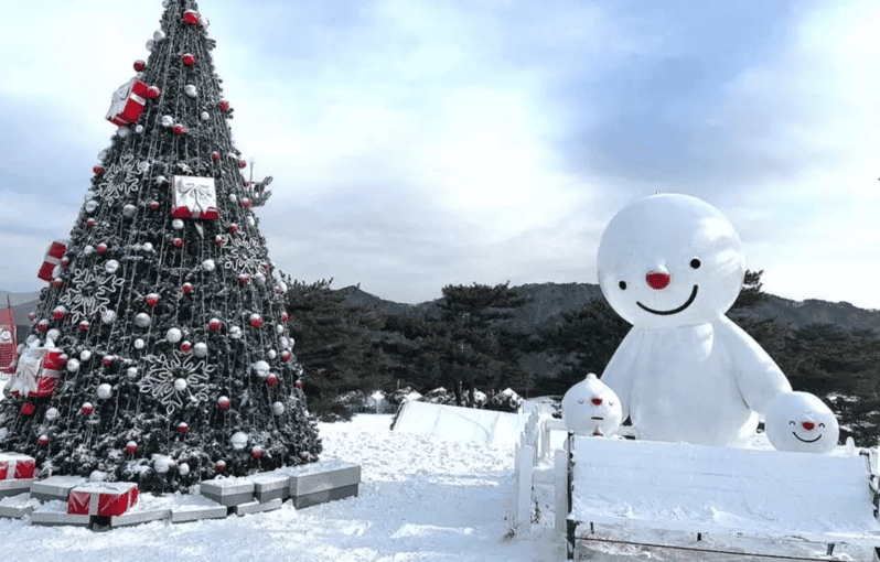 Seoul: SnowyLand in Vivaldi Park with Nami or Alpaca - Alpaca World or Nami Island: picking the vibe that fits your group