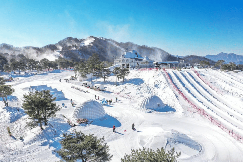 Seoul: SnowyLand in Vivaldi Park with Nami or Alpaca - Who should book this tour from Seoul?