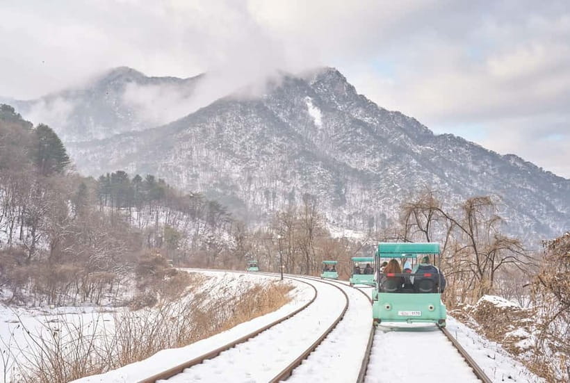 Seoul: Strawberry Picking & Eobi Ice Valley & Nami Island - A Winter Day Trip That Actually Fills the Whole Calendar