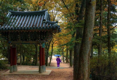 Seoul Sunrise & Sunset Hike + Temple & K-Food Adventure - Getting the historical context while you climb
