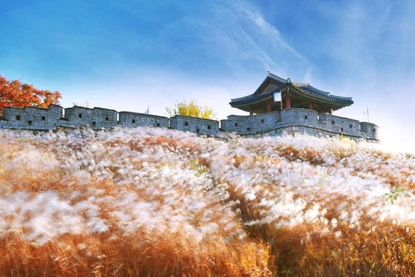 Seoul: Suwon Hwaseong Fortress & Korean Folk Village Tour - Guides, Group Experience, and Why Humor Helps on Big Walking Days