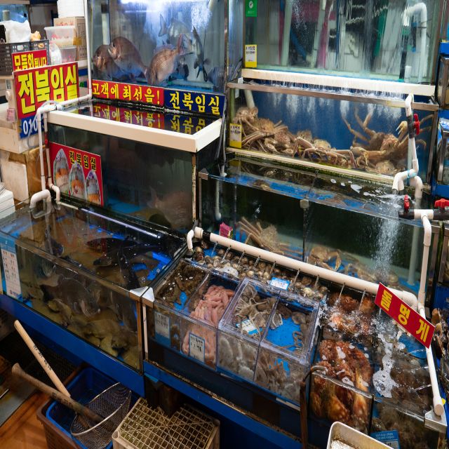 Seoul: The Biggest Sea-food Noryangjin Market Tour - Key highlights you’ll feel right away