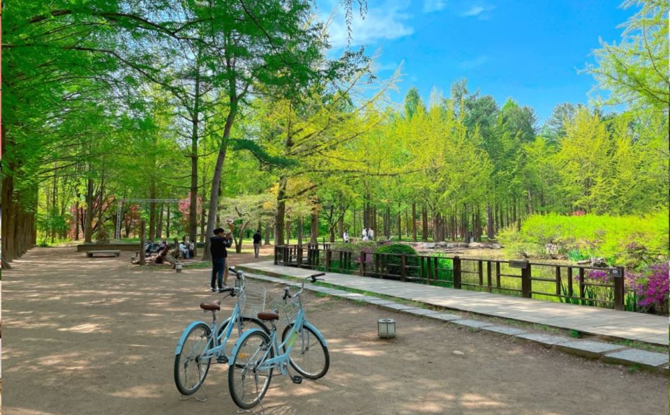 Seoul: The Painter Show with Nami Island - Alpaca World vs Nami Island: choosing your pace and your photos