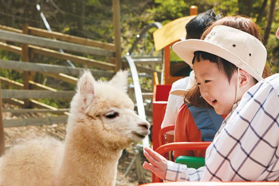 Seoul: The Painter Show with Nami Island - The Painters at Gwanghwamun: live painting you watch like a performance