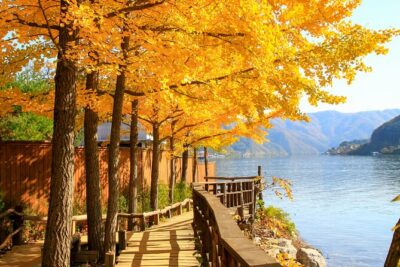 Seoul to/from Nami Island: Round trip Shuttle Bus Service - Pick-up locations in Seoul: the times that matter
