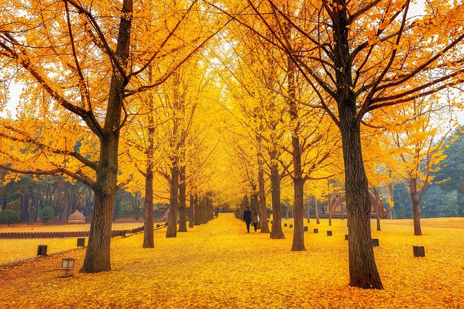 Seoul to/from Nami Island: Round trip Shuttle Bus Service - Ferry or zipline: you can buy on-site, but plan your time