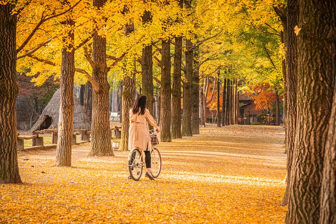 Seoul to/from Nami Island: Round trip Shuttle Bus Service - The return plan: the 16:00 wharf moment is the real deadline