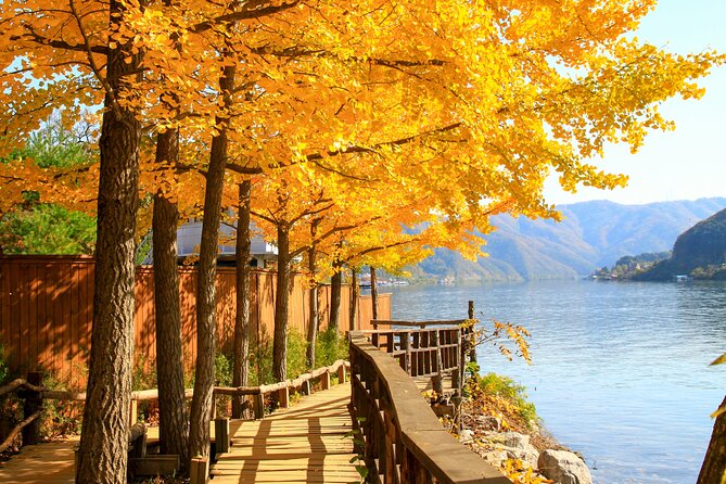 Seoul to/from Nami Island: Round trip Shuttle Bus Service - Pick-up locations in Seoul: the times that matter