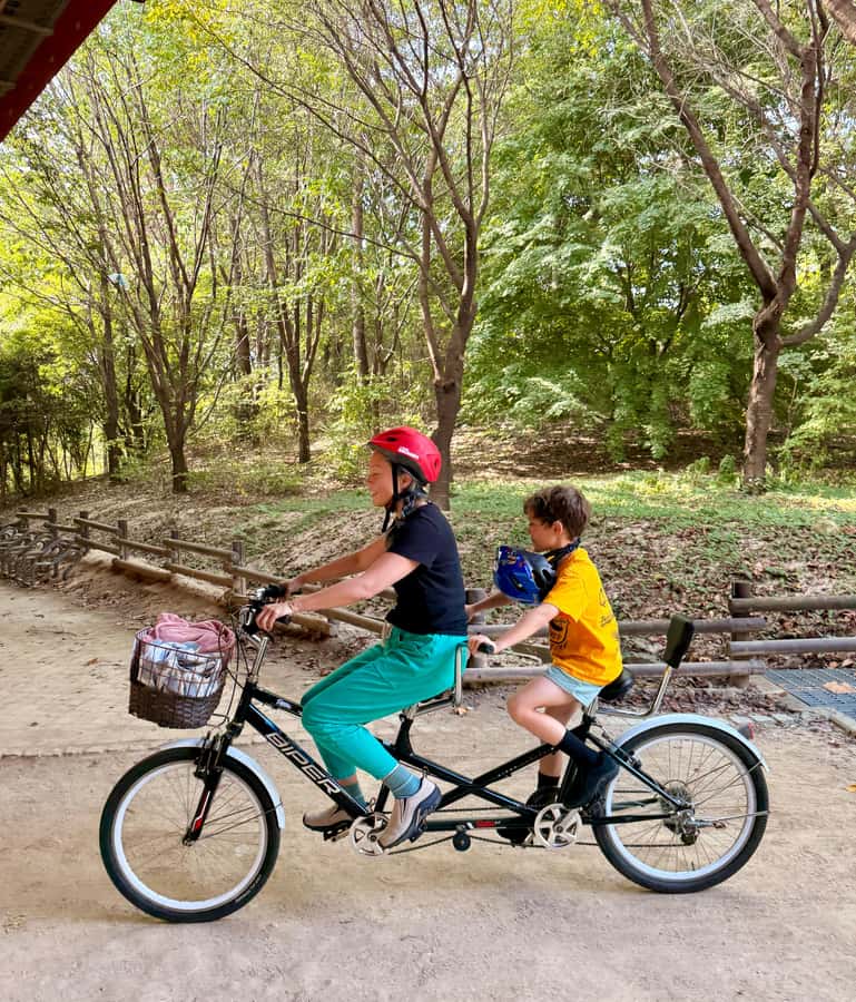 Seoul: Urban Nature Bike Tour along Han River - Why This Han River Bike Ride Feels Like a City Park