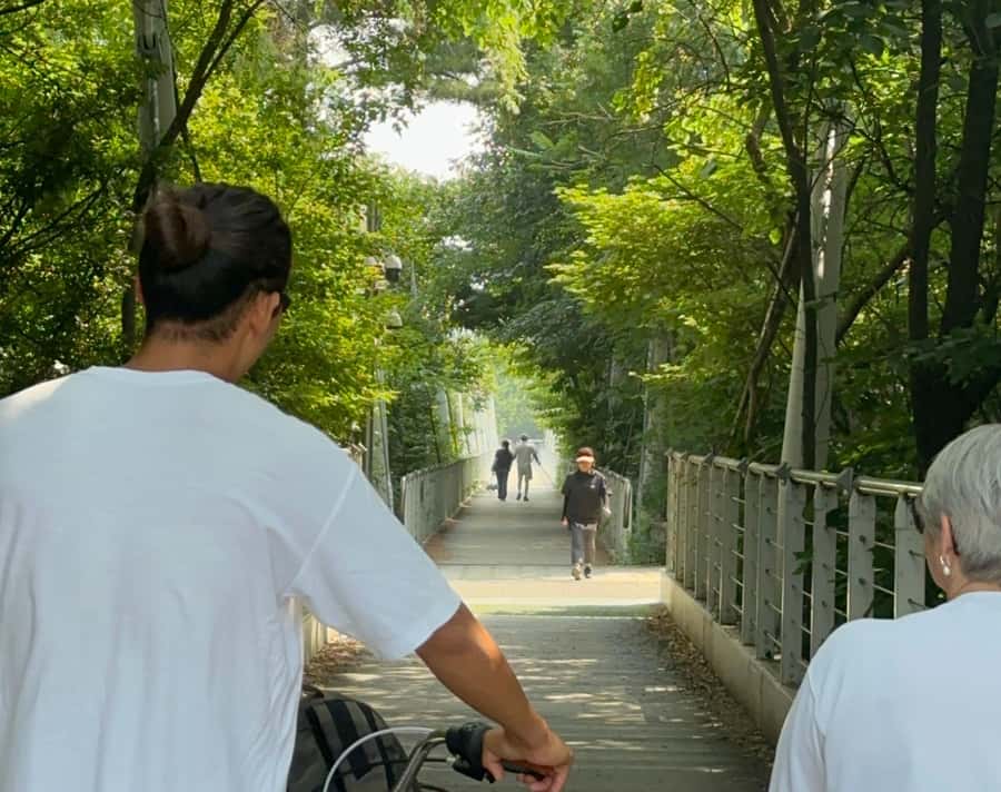 Seoul: Urban Nature Bike Tour along Han River - Seoul Forest by Bike: Shade, Calm, and a Real Reset