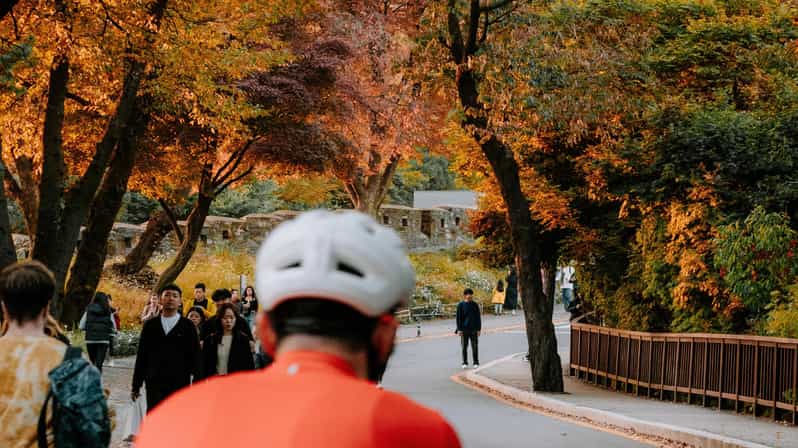 Seoul: Urban Nature Bike Tour along Han River - Price and Value: Why $50 Can Be a Smart Deal