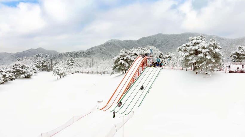 Seoul: Vivaldi Park Winter Ski with Nami Island Day Tour - Price and Value: What You’re Really Paying For