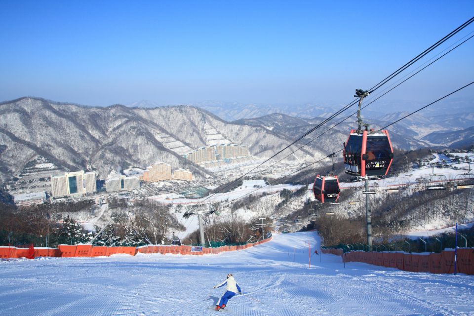 Seoul: Vivaldi Park Winter Ski with Nami Island Day Tour - Why Vivaldi Park + Nami Island Works as a Winter Day