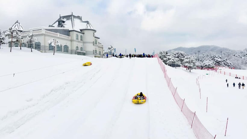 Seoul: Vivaldi Park Winter Ski with Nami Island Day Tour - Ski World Morning: Rentals, Moving Walk/Lift Pass, and a Safety-First Lesson