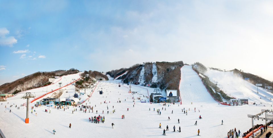 Seoul: Vivaldi Park Winter Ski with Nami Island Day Tour - Extra Winter Reality: Helmet Rules and Optional Gear Costs