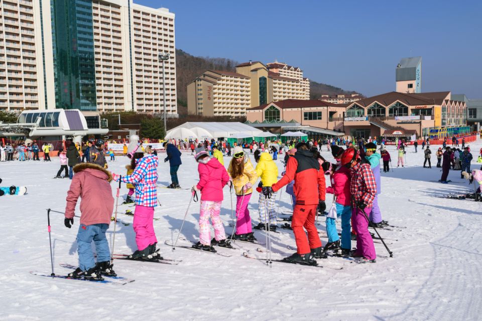 Seoul: Vivaldi Park Winter Ski with Nami Island Day Tour - The Sled Option: Snowyland for a Different Kind of Fun