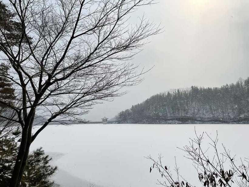 Seoul: Winter Day Tour in Pocheon (+Strawberry Picking) - Key takeaways before you go