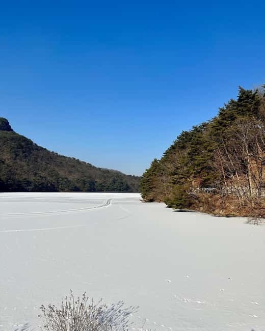 Seoul: Winter Day Tour in Pocheon (+Strawberry Picking) - Dally.On (1 hour self-guided): an on-your-own warm-up