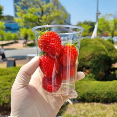 Seoul: Winter Day Tour in Pocheon (+Strawberry Picking) - Pick-up and drop-off: save your energy (and your feet)