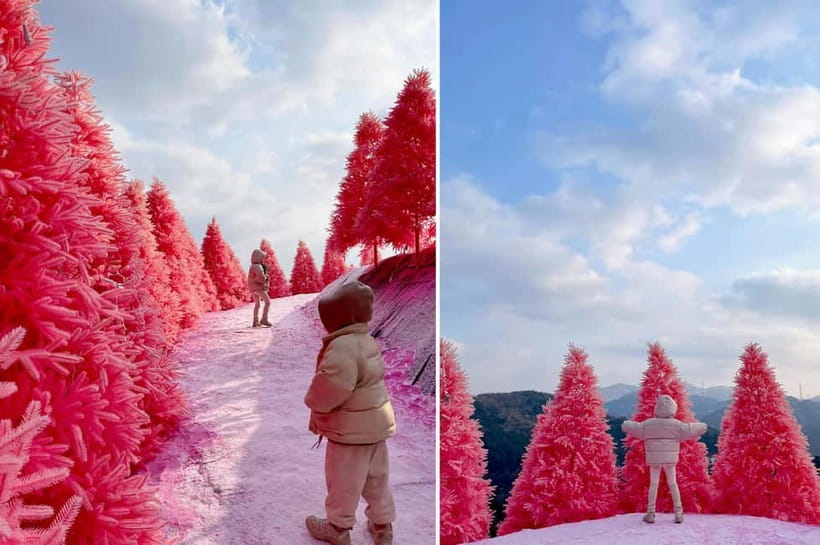 Seoul: Winter Day Tour in Pocheon (+Strawberry Picking) - Pocheon Herb Island (about 1.5 hours): pink photos and fragrant plants
