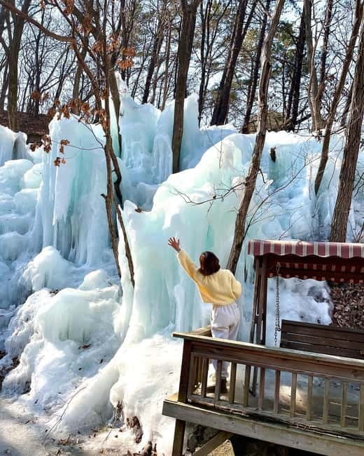 Seoul: Winter Day Tour in Pocheon (+Strawberry Picking) - Price and value: $62 for a full winter day outside Seoul