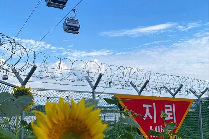 Signature DMZ Tour: Exclusive Defector Talk & Suspension Bridge - Dora Observatory: North Korean Views and Border Theater Without Photo Freedom