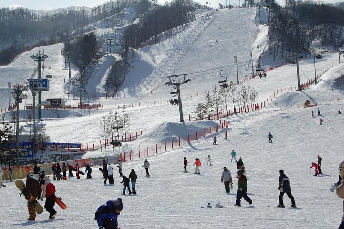 Ski Tour to Jisan Ski Resort from Seoul - Value check: is $69.24 a fair deal for a Seoul ski day?
