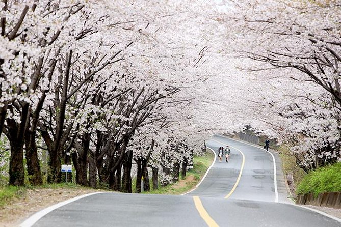 Small Group 7D Korea package Tour with Seoul Gyeongju Busan Jeju - Jeju Day 1: Beaches, Sunrise Peak, and that slow-motion island start