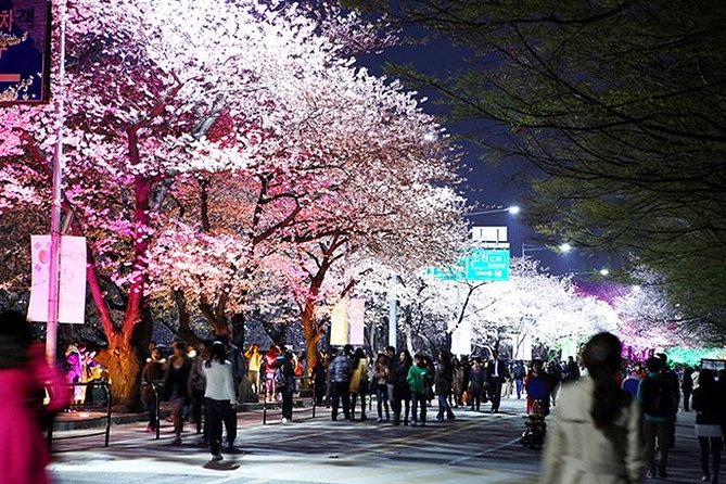 Small Group 7D Korea package Tour with Seoul Gyeongju Busan Jeju - Price and Logistics: Is $1,988 worth it for Seoul, Jeju, Busan, Gyeongju, and the DMZ?