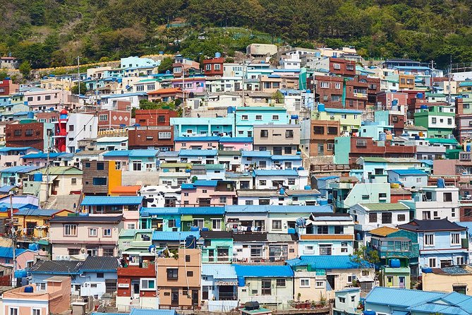 Small Group 7D Korea package Tour with Seoul Gyeongju Busan Jeju - Busan Day 3: Gamcheon color, Jagalchi appetite, and a temple on the coast
