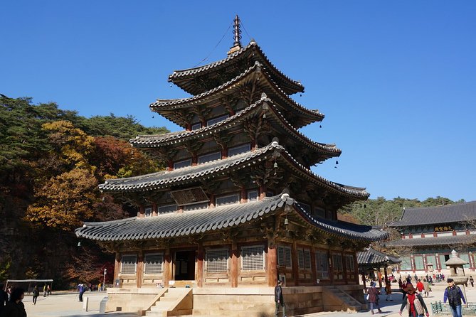 Songnisan National Park & Beopjusa Temple UNESCO site Private Tour - Inside Songnisan National Park: the forest is part of the attraction