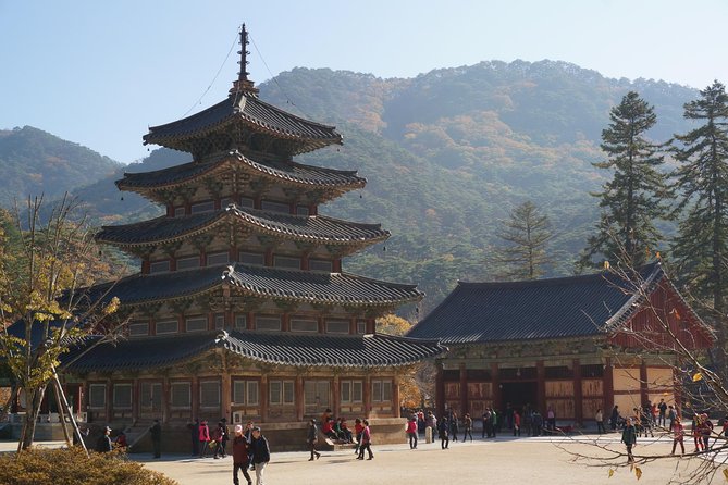 Songnisan National Park & Beopjusa Temple UNESCO site Private Tour - Forest trail vs. Munjangdae hike: choose your adventure level
