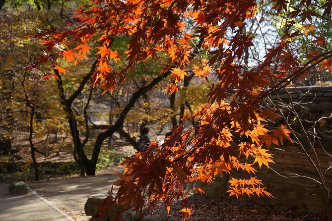 Songnisan National Park & Beopjusa Temple UNESCO site Private Tour - Price and value: $248 private tour vs. “cheap” alternatives