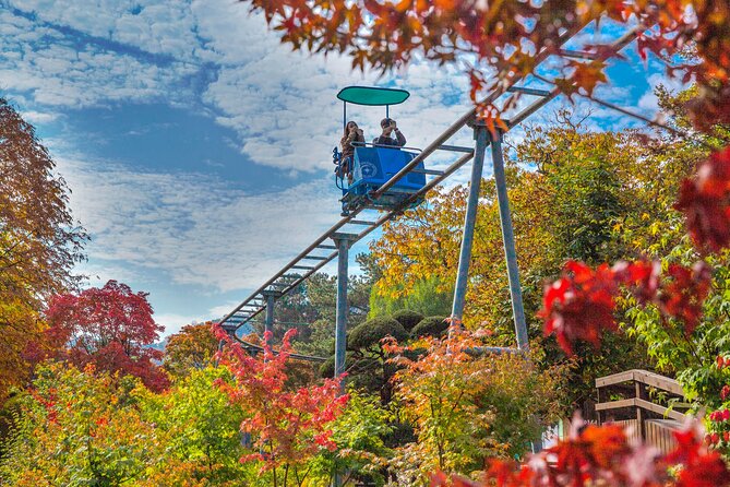 Special Private Tour Nami Island, Rail Bike, Petite France - Getting out of Seoul: timing, ride comfort, and what to expect