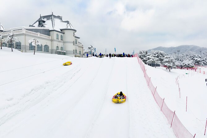 Strawberry Picking, Winter Sled with Eobi Ice Valley from Seoul - Timing, weather, and traffic: how your day can shift