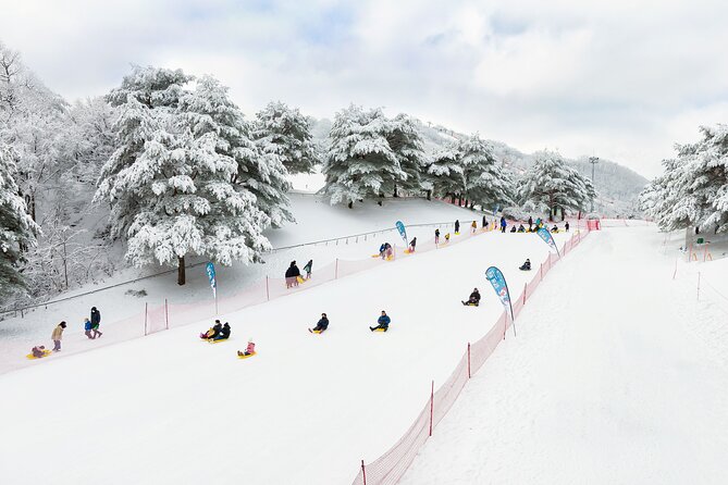 Strawberry Picking, Winter Sled with Eobi Ice Valley from Seoul - What to do before you go: practical packing for Seoul winter