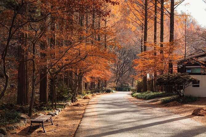 Suwon Hwaseong Fortress & Jangtaesan Full-Day Tour: Autumn Leaves - Key highlights you’ll feel all day