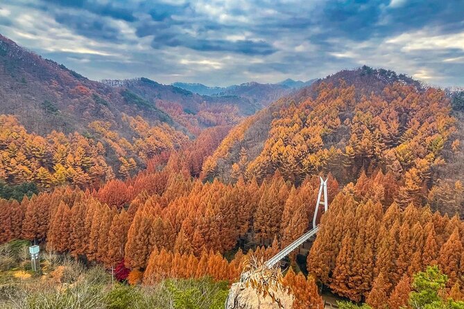 Suwon Hwaseong Fortress & Jangtaesan Full-Day Tour: Autumn Leaves - Price and value: $59.57 for transport, guide, and free admissions