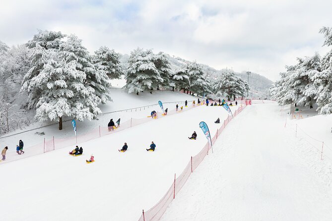 Vivaldi Park Winter Ski Resort with Nami Island Tour from Seoul - Gear and safety: the helmet cost you should plan for