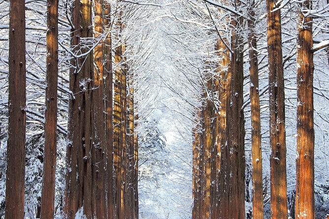 Vivaldi Park Winter Ski Resort with Nami Island Tour from Seoul - Booking strategy: when to reserve and what to choose