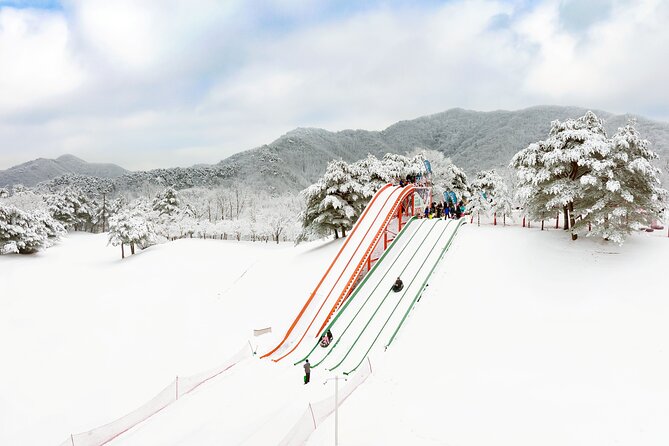 Vivaldi Park Winter Ski Resort with Nami Island Tour from Seoul - Should you book this Vivaldi Park + Nami Island winter tour?