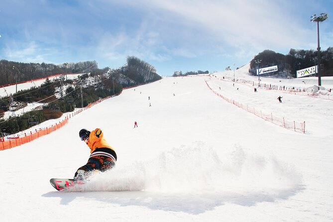 Vivaldi Park Winter Ski with Eobi Ice Valley Day Tour from Seoul - Key things I’d plan around