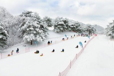 Vivaldi Park Winter Ski with Eobi Ice Valley Day Tour from Seoul - Eobi Ice Valley: Icicles, Photos, and a 40-Minute Reality Check