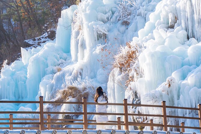 Vivaldi Park Winter Ski with Eobi Ice Valley Day Tour from Seoul - Choosing Your Option: Ski, Snowboard, Sightseeing Gondola, or Snowyland