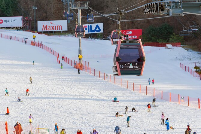 Vivaldi Park Winter Ski with Eobi Ice Valley Day Tour from Seoul - Gear and Safety Details You Should Budget For
