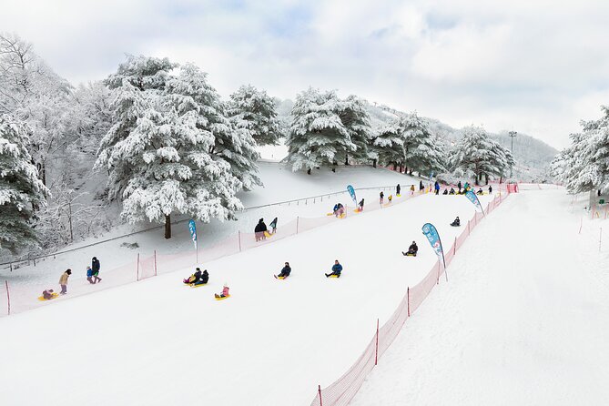 Vivaldi Park Winter Ski with Eobi Ice Valley Day Tour from Seoul - Eobi Ice Valley: Icicles, Photos, and a 40-Minute Reality Check